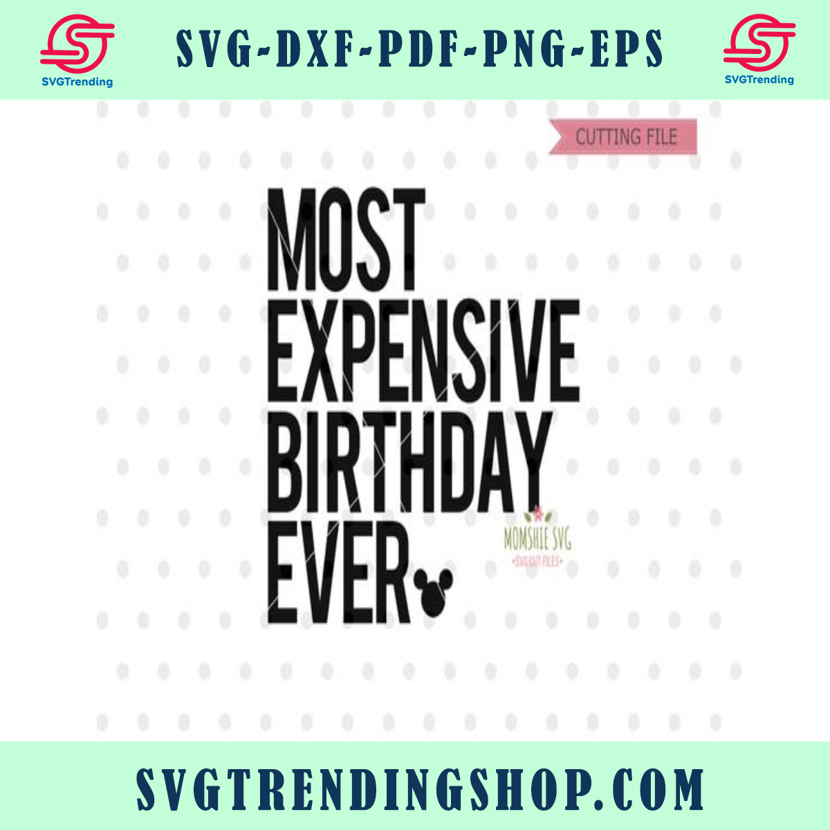 Disney Most Expensive Birthday Ever SVG, Disney trip svg, dxf, png file